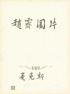 赵霁图片