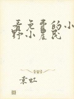 看免费的小说乡野小农民
