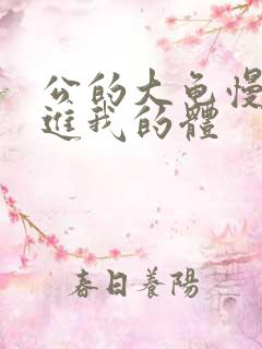 公的大龟慢慢挺进我的体