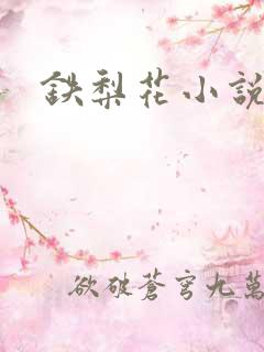 铁梨花小说
