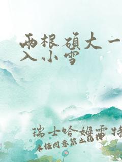 两根硕大一起挤入小雪
