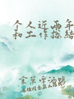 个人近两年思想和工作总结