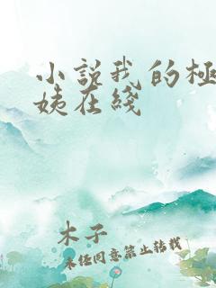 小说我的极品小姨在线