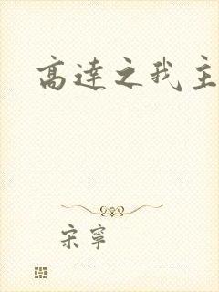 高达之我主沉浮