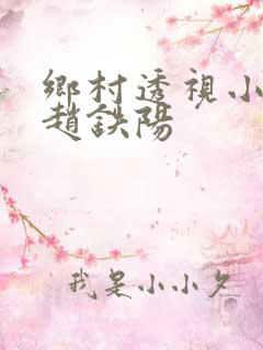 乡村透视小神医赵铁阳