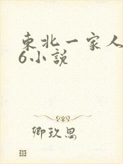东北一家人1一6小说