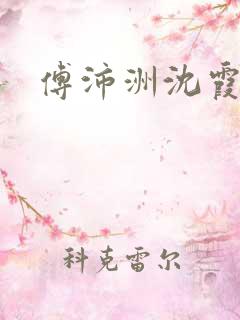 傅沛洲沈霞小说
