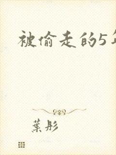 被偷走的5年