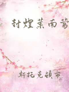 封煜叶南莺小说