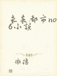 未来都市no.6小说