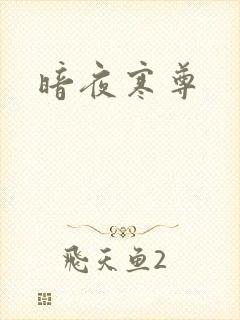暗夜寒尊