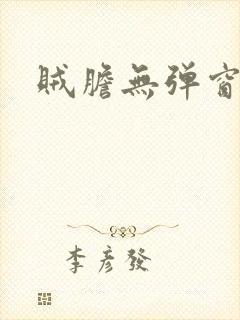 贼胆无弹窗