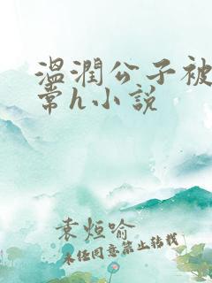 温润公子被脔日常h小说