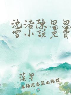 沈浩陈思思秦菲雪小说免费阅读笔下载