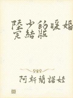 陆少的暖婚新妻完结版