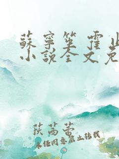 苏宁笙 霍止行小说全文免费阅读