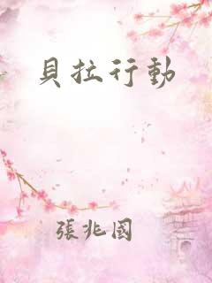 贝拉行动