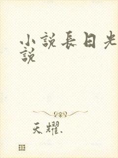 小说长日光阴小说