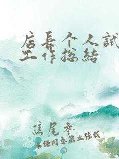 店长个人试用期工作总结