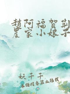 赵阿福贺荆山《农家小娘子》免费