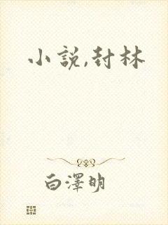 小说,封林