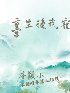 重生后我宠冠东宫