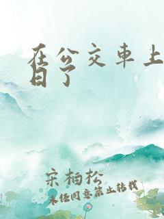 在公交车上被人日了