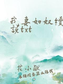 我妻如奴续写小说txt