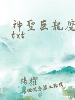 神圣巨龙魔法师txt