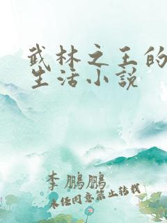 武林之王的退隐生活小说