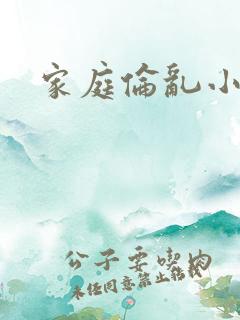家庭伦乱小说