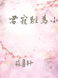 君宠难为小说