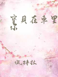 宝贝在车里想要你