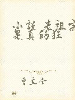 小说 老祖宗她是真的狂