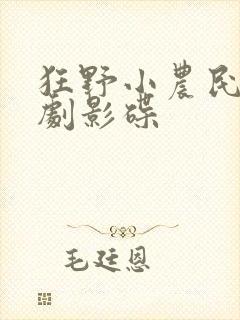 狂野小农民影视剧影碟