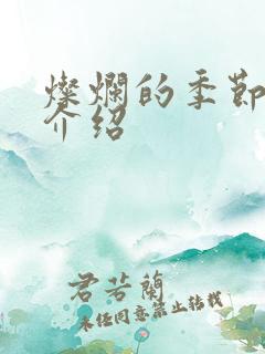 灿烂的季节剧情介绍