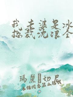 我老婆是冰山女总裁沈浪全集