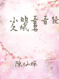 小明看看发布永久域名