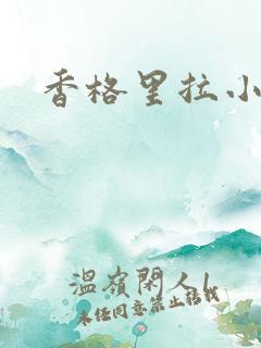 香格里拉小说