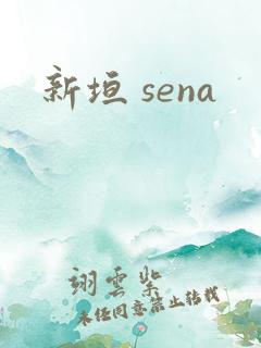 新垣 sena