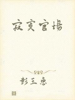 寂寞官场