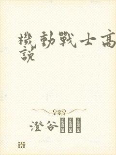 机动战士高达小说
