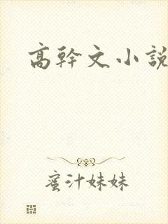 高干文小说h