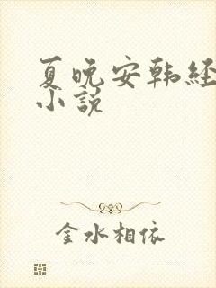 夏晚安韩经年的小说