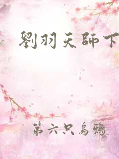 刘羽天师下山