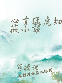 心有猛虎细嗅蔷薇小说