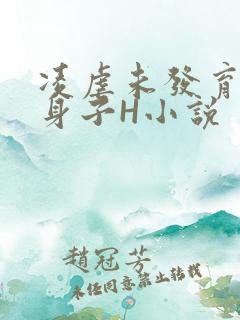 凌虐未发育的小身子H小说