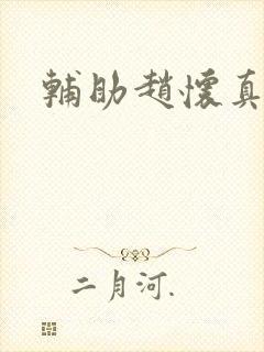 辅助赵怀真
