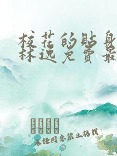 校花的贴身高手林逸免费最新