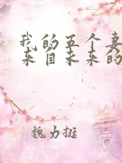 我的五个妻子和来自未来的孩子